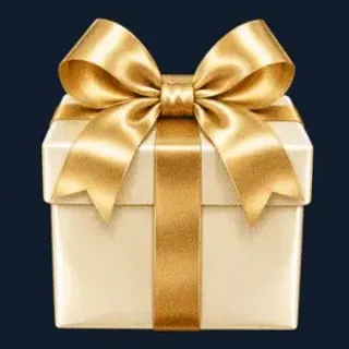 Ribbon gift box — CuntSpin