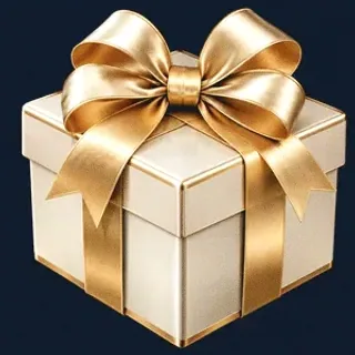 Gift box — CuntSpin