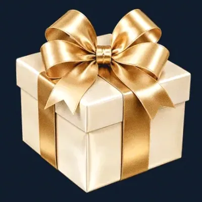 Ribboned gift box — CuntSpin
