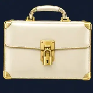 Locked leather briefcase — CuntSpin