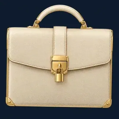 Locked leather briefcase — CuntSpin