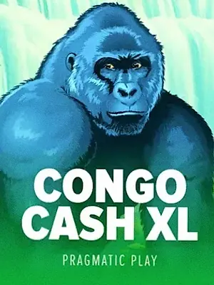 Congo Cash XL at CuntSpin